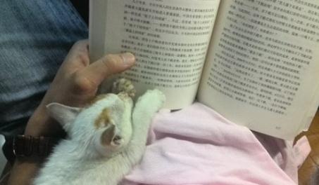 职称出书.jpg