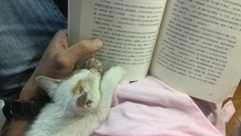 书号不同.jpg